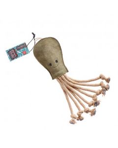 Olive the Octopus
